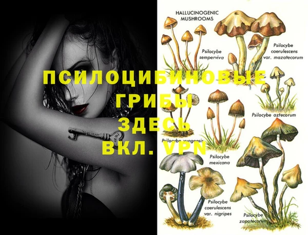 меф Костерёво
