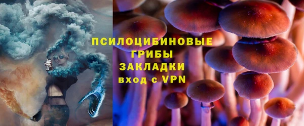 ГАЛЛЮЦИНОГЕННЫЕ ГРИБЫ Коряжма